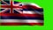 State of The United States of America, USA state, Flag of Hawaii, HI, Honolulu, August 21 1959 - LOOP