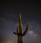 Stately Saguaro Cactus under the Milky Way Galaxy