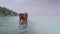 A static shot of couple posing in front of camera while floating in the water. An amazing romantic video is made