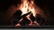 Static shot fireplace with burning wooden logs