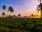 A static view of field in the morning day photography