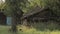 Static view on old destroyed abandoned wooden house in village of Belarus.