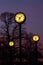 Station clocks at night