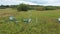 Station science research for studying wetlands meadows, drone aerial video shot ecosystem weather station swamp willows