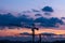 Stationary construction cranes against the backdrop of moving clouds at sunset