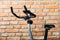 Stationary training bicycle indoors