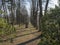 Stations of the Cross in avenue of beech tree near village Cvikov. Calvary with small chapels build in 1728 by Johann