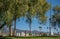 Stations of the Cross landscape, Calvary Cemetery. Santa Barbara, CA, USA