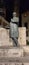 Statua di Ulisse Dini, Famous Mathematician, Pisa, Tuscany, Italy
