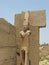 Statue Of Amun Ra At Karnak Temple, Luxor