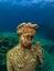 Statue of Antonia Minor in Claudioâ€™s Ninfeum. underwater, archeology.