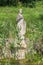 Statue in Archaeological Park of Dion. Pieria, Greece