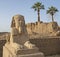 Statue at avenue of sphinxes in Luxor temple Egypt