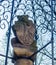 statue of a bear locked in a cage holding coat of arms of berlin...IMAGE