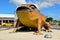 Statue of the Big Cane Toad Rhinella marina in Sarina, QLD