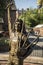Statue of Bon Scott original singer for rock band acdc