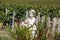 Statue of a boy holding a basket with grapes on the background of vineyards in the Saint Emilion region