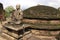 Statue of Buddha in ancient temple, Polonnaruwa, S