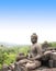 Statue of Buddha, Borobudur Buddhist Temple, Java Island, Indonesia