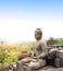 Statue of Buddha, Borobudur Buddhist Temple, Java Island, Indonesia