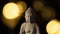 Statue of the Buddha of Serenity, on a black background surrounded by luminous circles