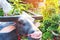 Statue of buffalo wearing mask in the public park to encourage people to wear masks to prevent the spread of the Corona virus