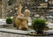 Statue of a cherub with a large waterfowl in a small fountain at the entrance to Villa Cipressi in Varenna on Lake Como.