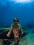 Statue of Dionysus with a crown of ivy in Claudioâ€™s Ninfeum. underwater, archeology.