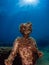 Statue of Dionysus with a crown of ivy in Claudioâ€™s Ninfeum. underwater, archeology.