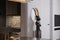 A Statue of Dog Behind Wall Mirror, White Wall Paint Interior Design For Smart Dining Space