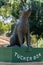 Statue of the Dog on the Tuckerbox at Snake Gully, five miles from Gundagai