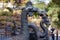 Statue of Dragon in Royal Summer Palace