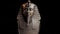 Statue of Egyptian Pharaon Tutankhamun Burial Mask, Spinning Close Up