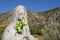 Statue at El Santuario de Chimayo, New Mexico