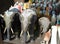 Statue of elephants around the shrine