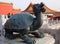 Statue at the Forbidden City. Beijing. China.