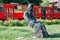 Statue in front of St. Mark`s Church, Crkva Svetog Marka in Belgrade, Serbia