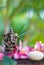 Statue of Ganesha Indian Hinduism God of wisdom and prosperity a