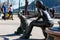 Statue of a girl and her dog at the beautiful Danube Promenade