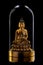 Statue of the Golden Buddha under a glass cap