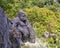 Statue of a Gorilla seen from the road exiting the medieval village of Eze, France