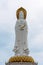 Statue of Guanyin on the territory of Buddhist center Nanshan on a cloudy day