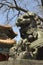 Statue of a holy lion outside of a buddhist temple in Beijing, China, Asia.