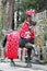 Statue of a horse decorated in red clothes at Fushimi Inari Shrine in southern Kyoto, famous for its thousands of vermilion torii