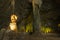 Statue image of buddha in the cave