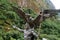 Statue of the Inca Cosmological Trilogy at the town of Aguas Calientes or Machupicchu Pueblo, Cusco, Peru