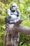 A statue of a king kong giant monkey in front of the entrance of a park. This is carved as in it is over a tree and pointing