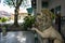 A statue in the Kraton Palace in Yogyakarta