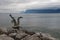 Statue. Lake Leman. Water. Vevey. Cold