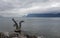 Statue. Lake. Leman. Water. Vevey. Cold